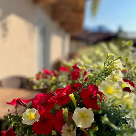 Apartmanhotel Residenz Theresa Söll