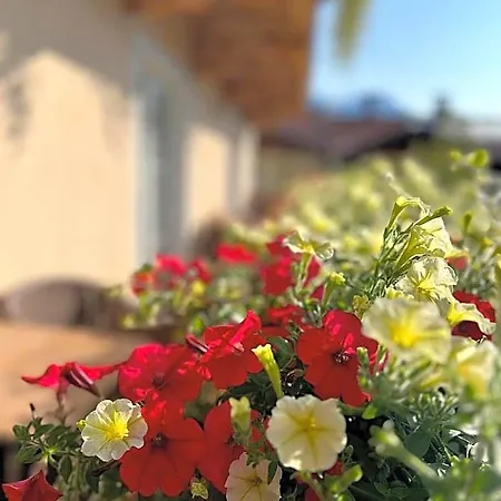 Residenz Theresa Apartmanhotel Söll
