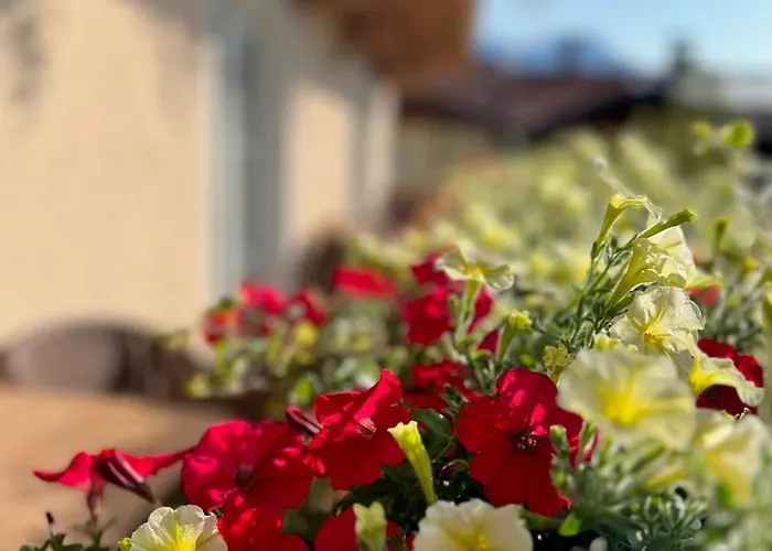 Lejlighedshotel Residenz Theresa Söll