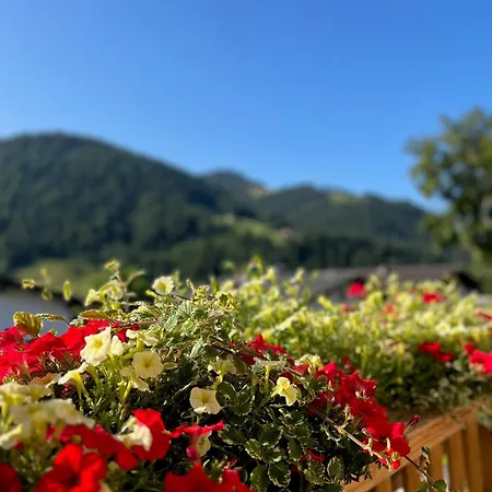 Residenz Theresa شقة فندقية